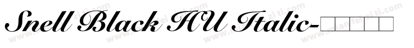Snell Black HU Italic字体转换